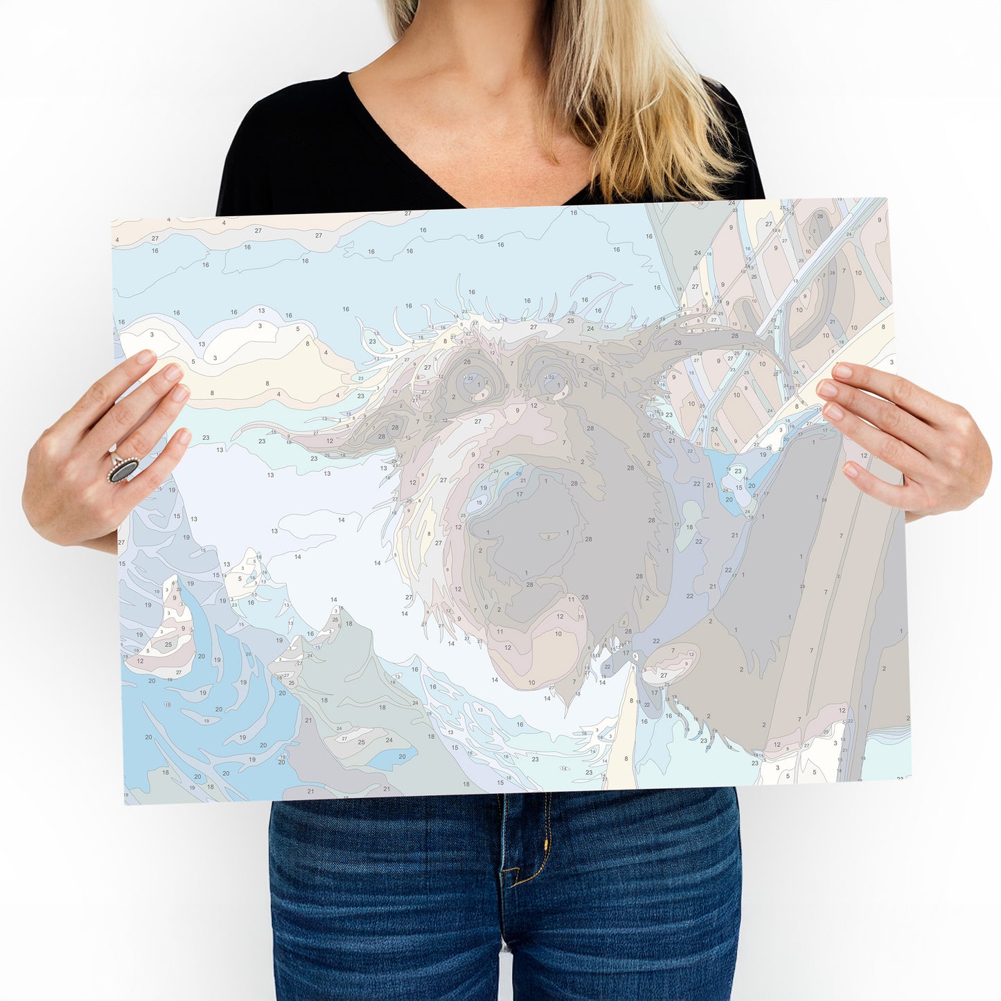 Custom Paint by Number Kit